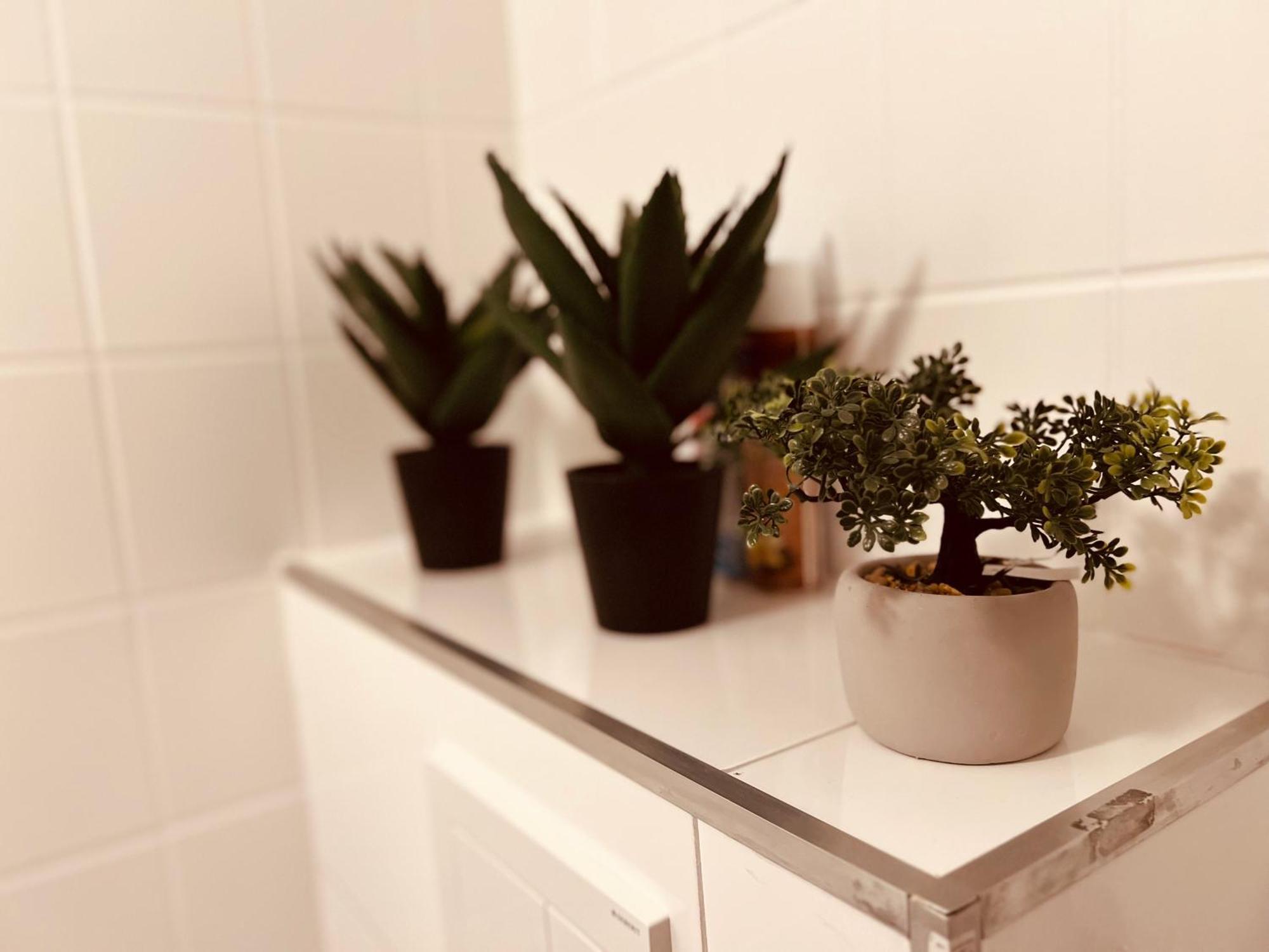 Appartement Cologne Luxe Living: Opulent Elegance Unleashed Extérieur photo